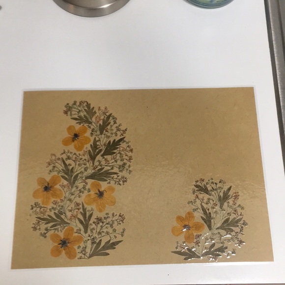 Place Mats - Picture 3 of 8